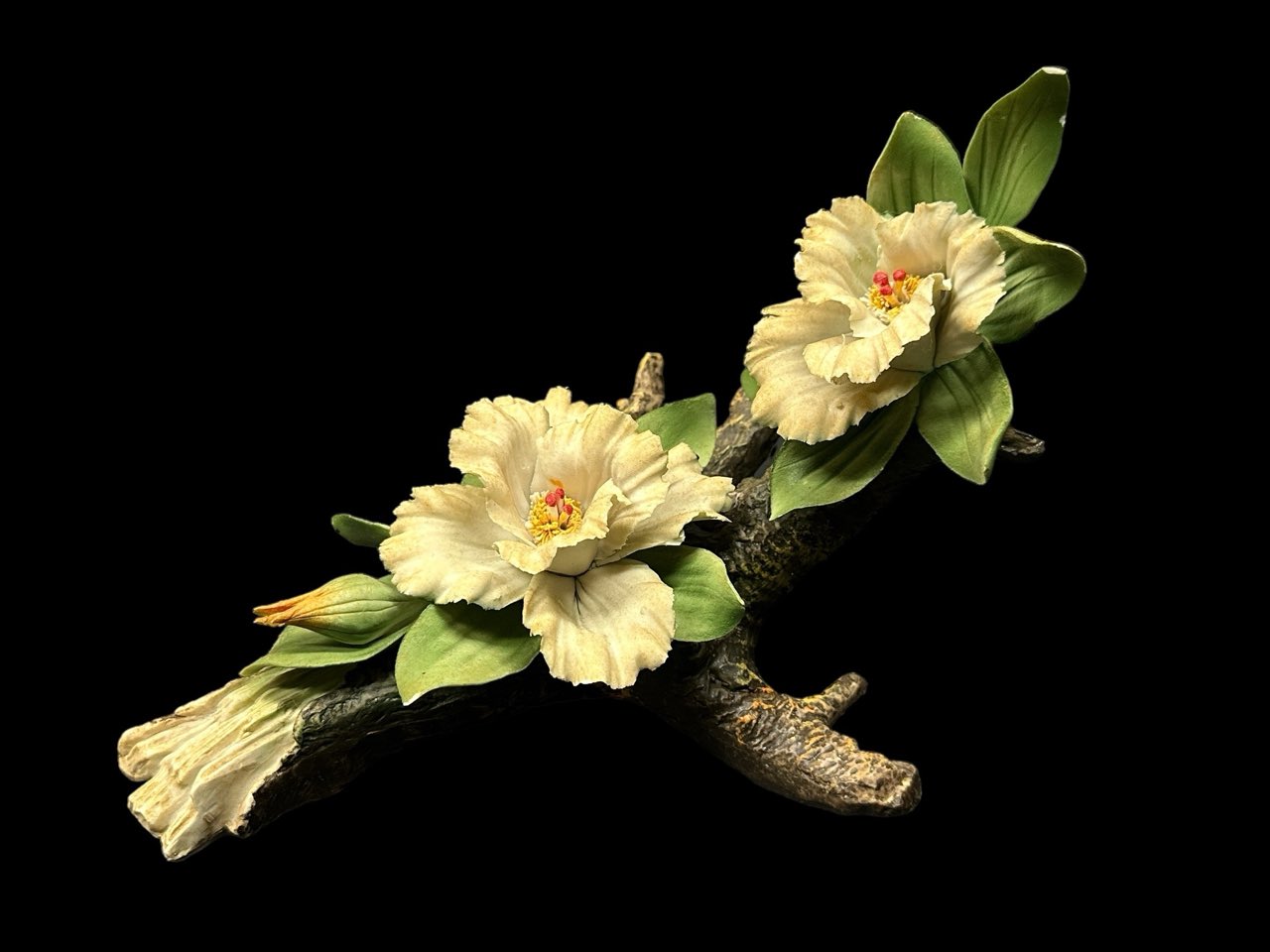 Catalog lot image for identification