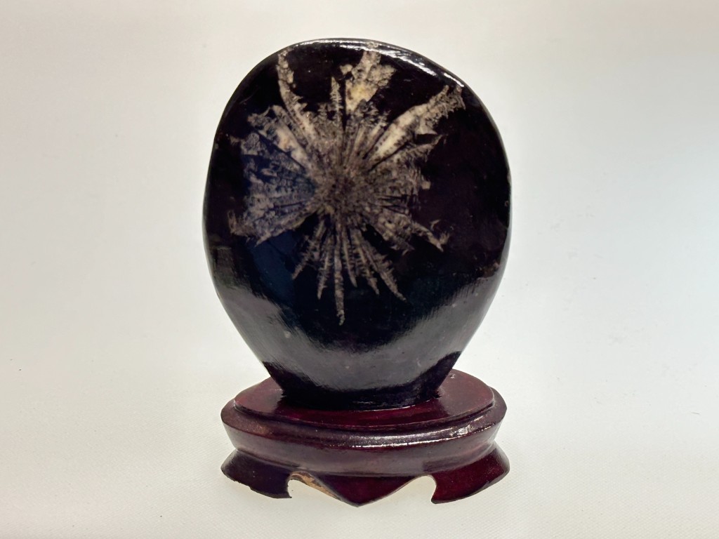 Chrysanthemum stone comparison example